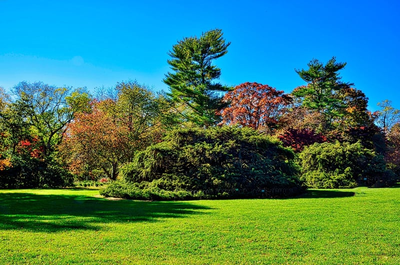 Fall Planting Guide