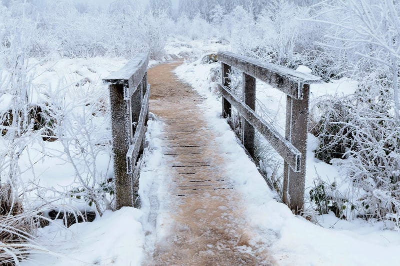 Stone Pathway
